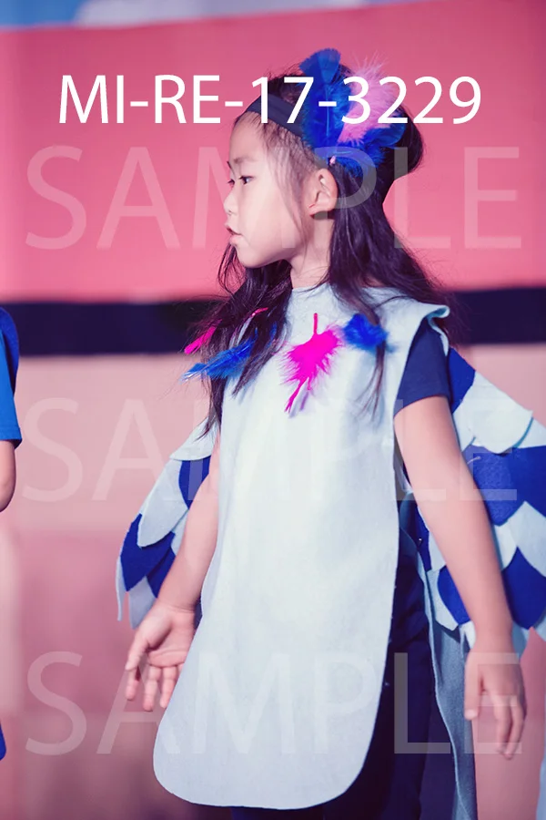 MI-RE-17-3229.jpg