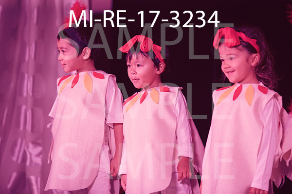 MI-RE-17-3234.jpg