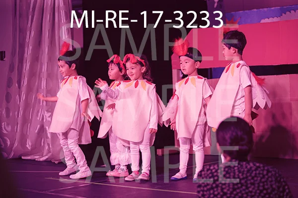 MI-RE-17-3233.jpg