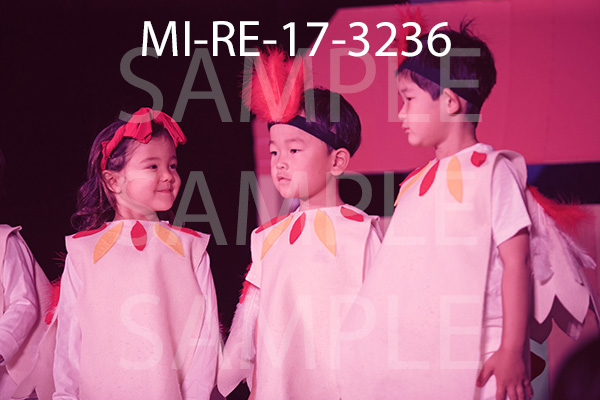 MI-RE-17-3236.jpg