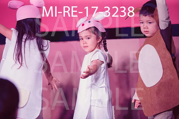 MI-RE-17-3238.jpg