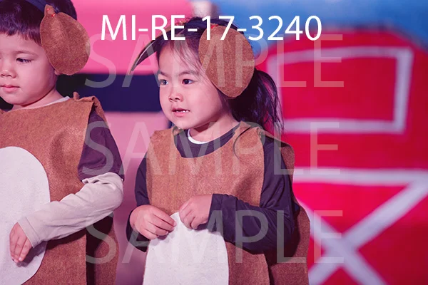MI-RE-17-3240.jpg