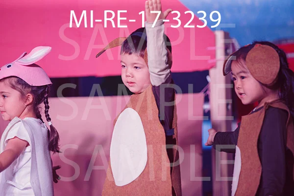 MI-RE-17-3239.jpg