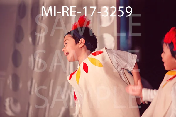 MI-RE-17-3259.jpg