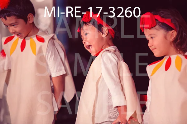 MI-RE-17-3260.jpg