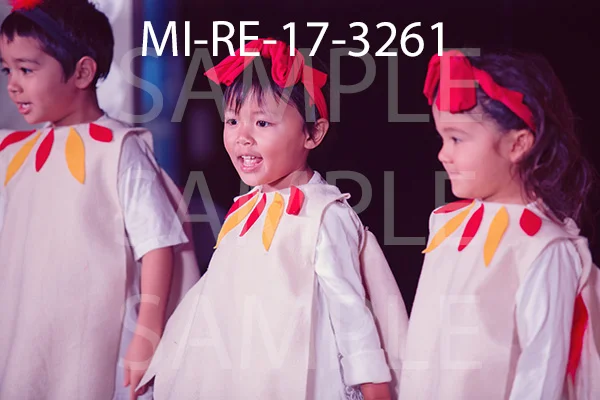 MI-RE-17-3261.jpg