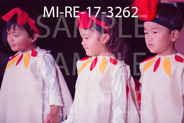 MI-RE-17-3262.jpg