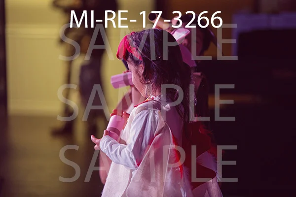 MI-RE-17-3266.jpg