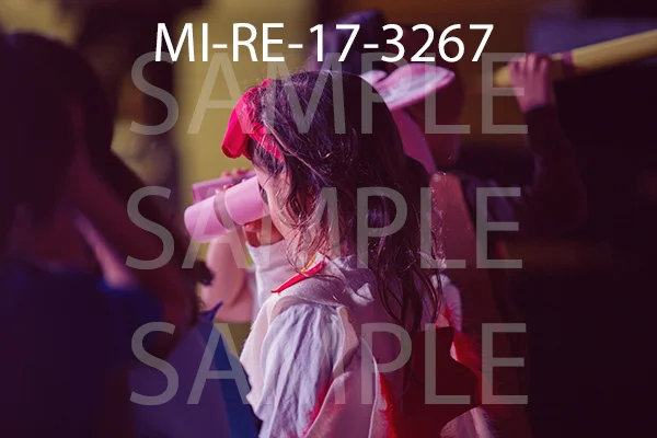 MI-RE-17-3267.jpg