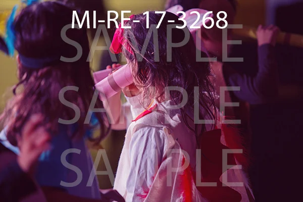MI-RE-17-3268.jpg