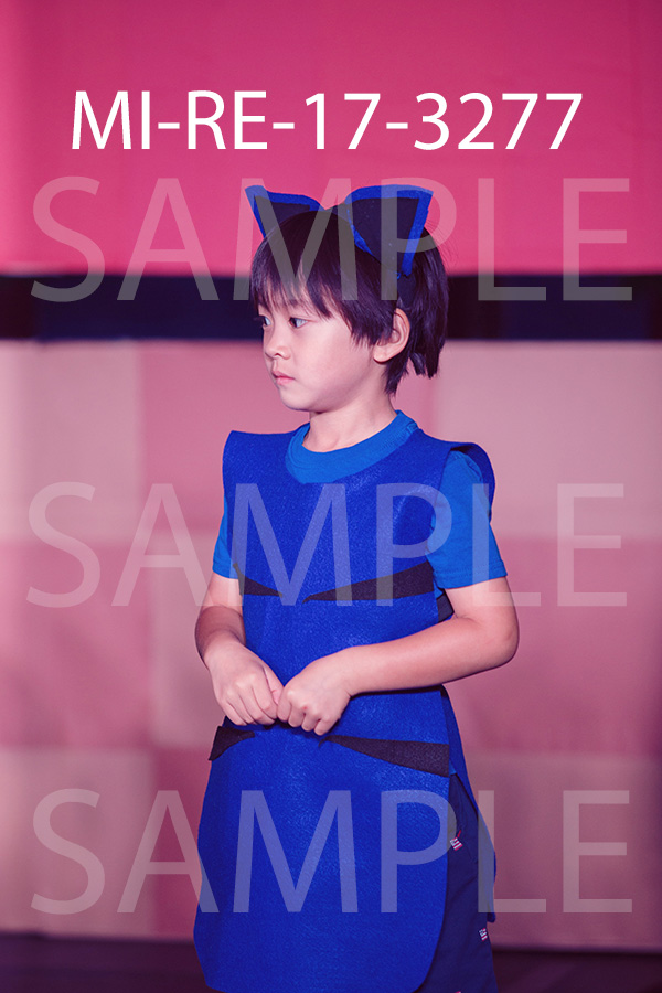 MI-RE-17-3277.jpg