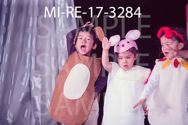 MI-RE-17-3284.jpg