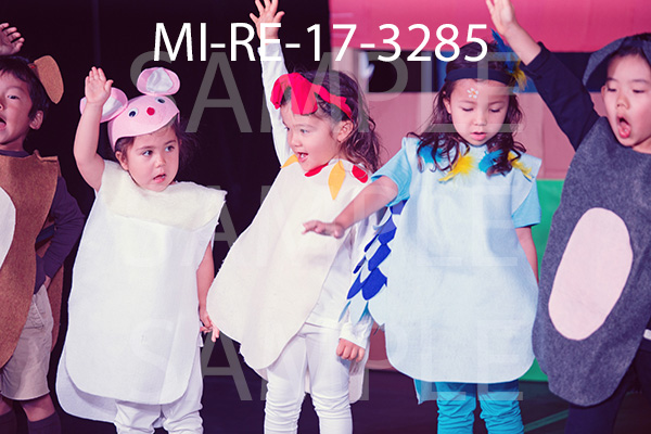 MI-RE-17-3285.jpg