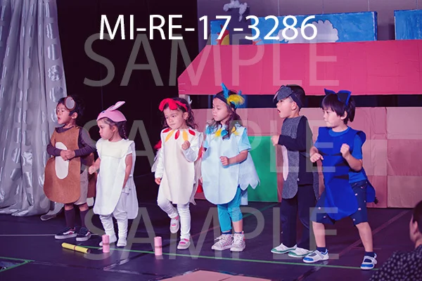 MI-RE-17-3286.jpg