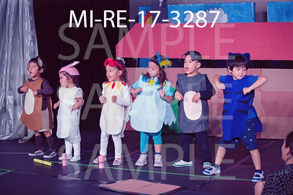 MI-RE-17-3287.jpg