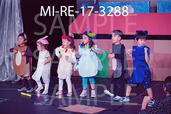 MI-RE-17-3288.jpg