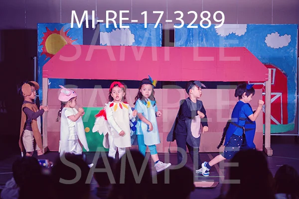 MI-RE-17-3289.jpg