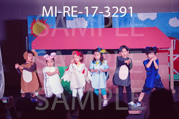 MI-RE-17-3291.jpg