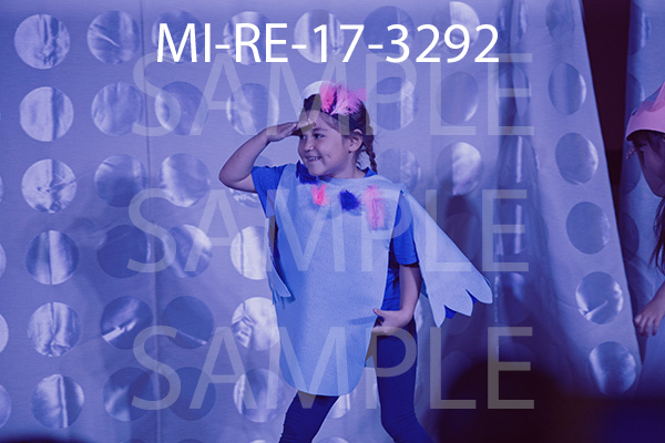 MI-RE-17-3292.jpg