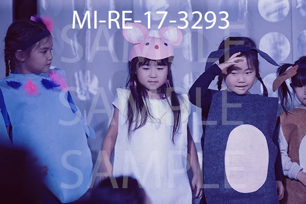MI-RE-17-3293.jpg
