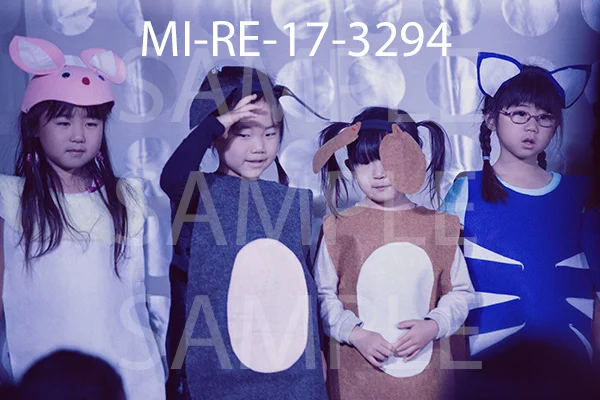 MI-RE-17-3294.jpg