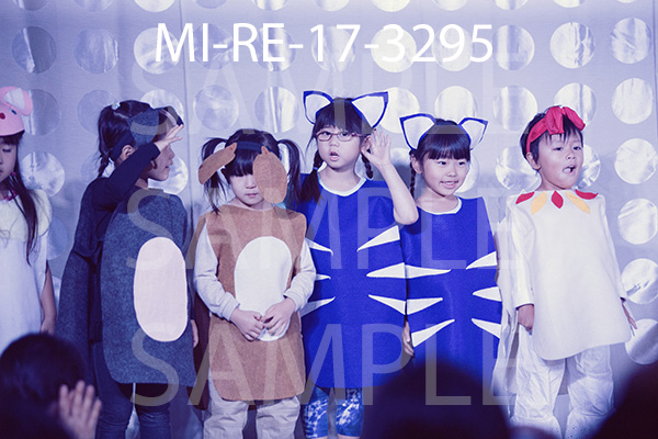 MI-RE-17-3295.jpg