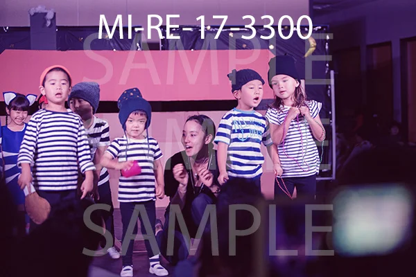 MI-RE-17-3300.jpg