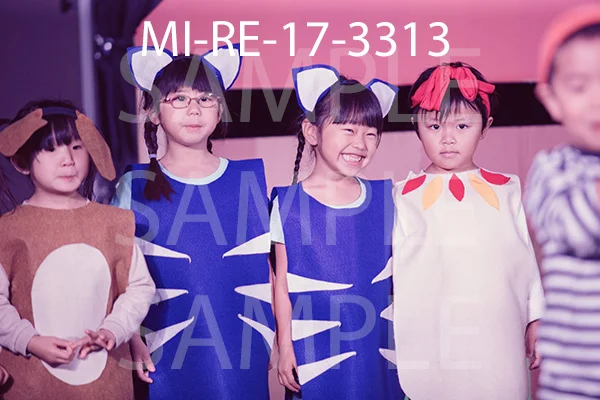 MI-RE-17-3313.jpg