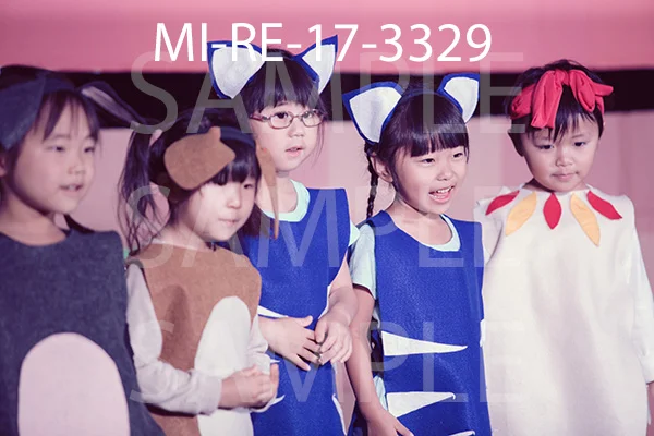 MI-RE-17-3329.jpg