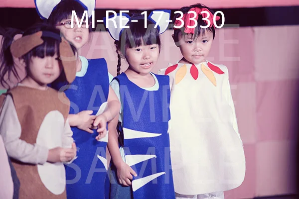 MI-RE-17-3330.jpg