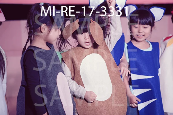 MI-RE-17-3331.jpg