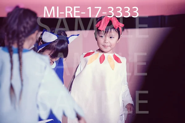 MI-RE-17-3333.jpg