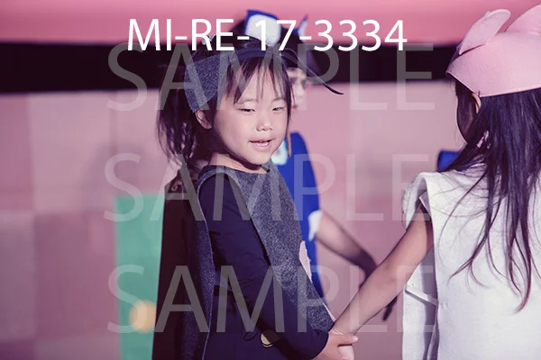MI-RE-17-3334.jpg