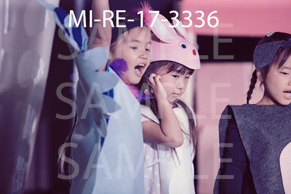 MI-RE-17-3336.jpg