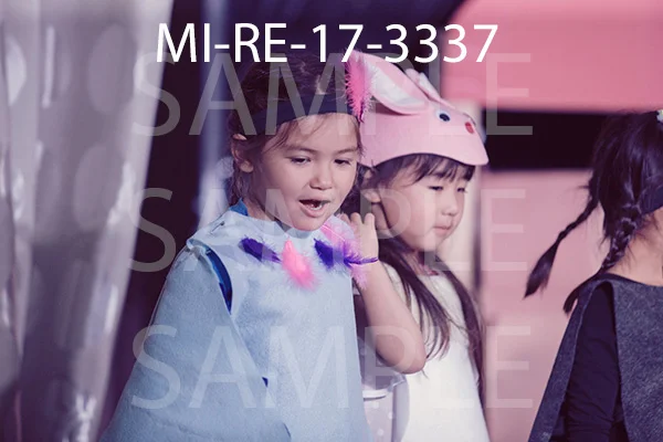 MI-RE-17-3337.jpg