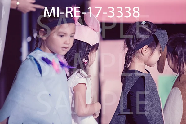 MI-RE-17-3338.jpg