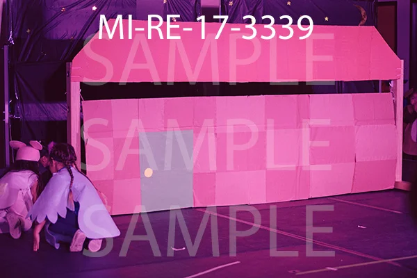 MI-RE-17-3339.jpg
