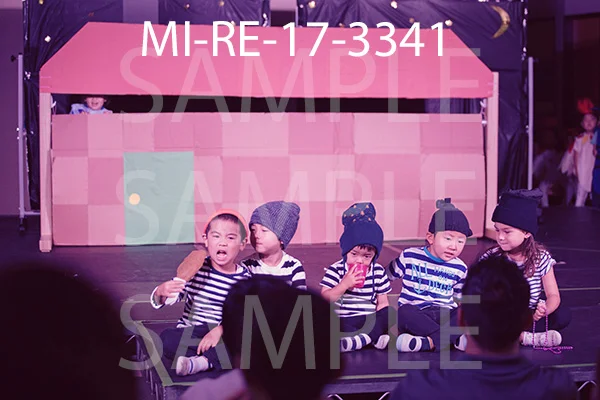 MI-RE-17-3341.jpg