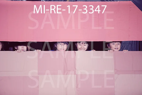 MI-RE-17-3347.jpg