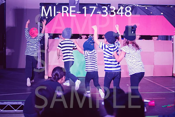 MI-RE-17-3348.jpg
