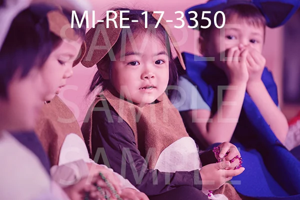 MI-RE-17-3350.jpg