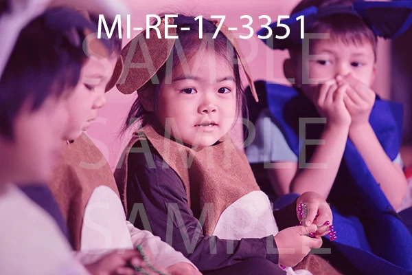 MI-RE-17-3351.jpg