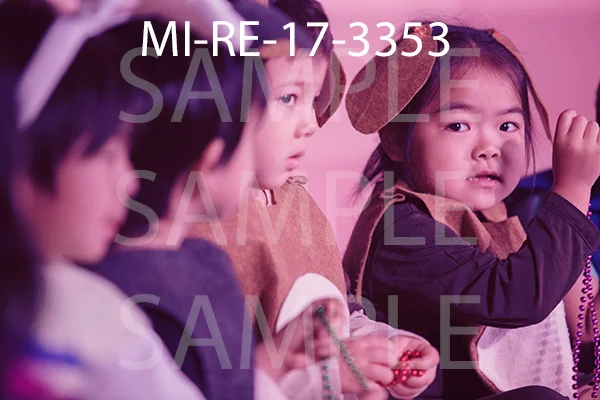 MI-RE-17-3353.jpg