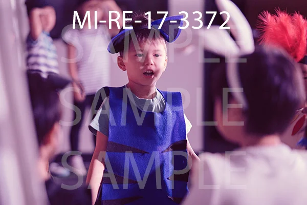 MI-RE-17-3372.jpg