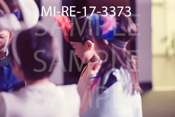 MI-RE-17-3373.jpg