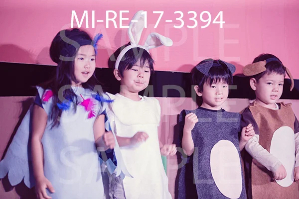 MI-RE-17-3394.jpg