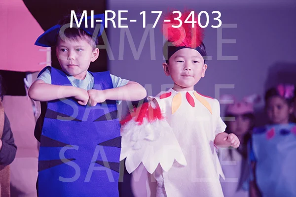 MI-RE-17-3403.jpg