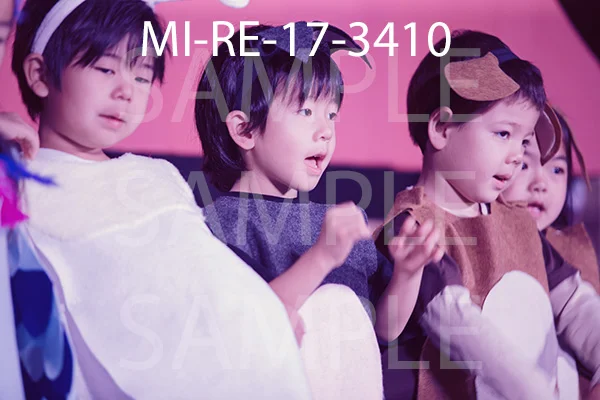 MI-RE-17-3410.jpg