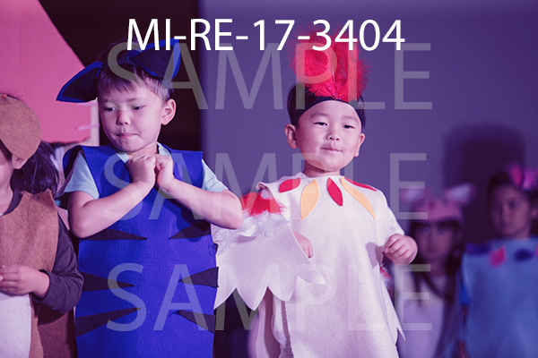 MI-RE-17-3404.jpg