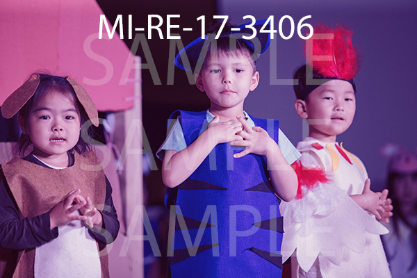 MI-RE-17-3406.jpg